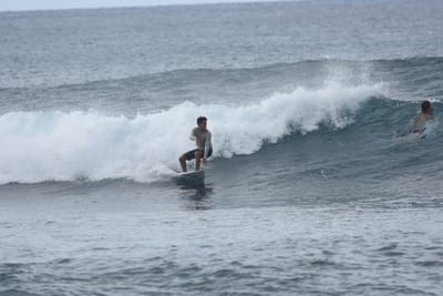 DSC_9503.JPG