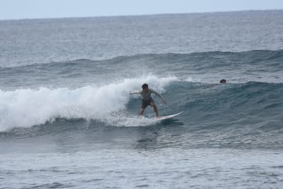 DSC_9506.JPG