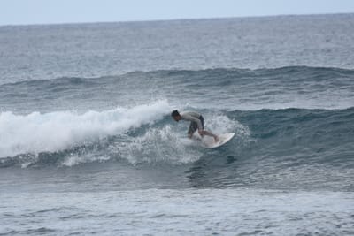 DSC_9508.JPG