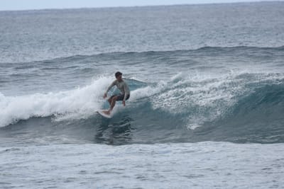 DSC_9515.JPG