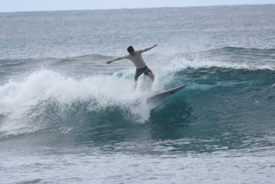 DSC_9518.JPG