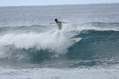 DSC_9519.JPG