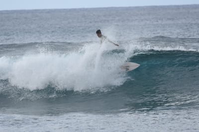 DSC_9520.JPG