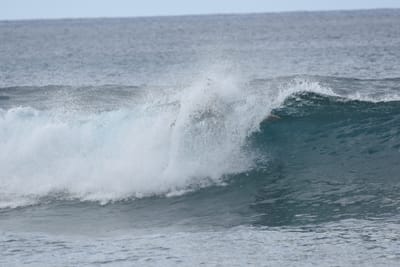 DSC_9521.JPG