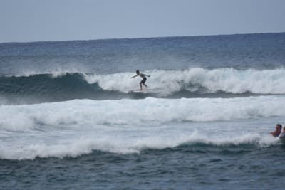 DSC_9526.JPG