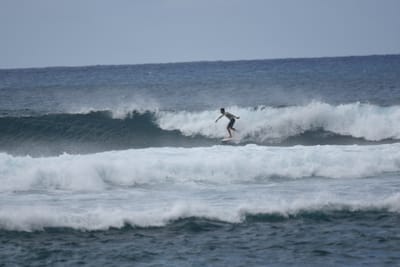 DSC_9527.JPG