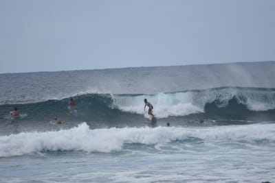 DSC_9532.JPG