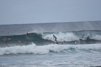 DSC_9533.JPG