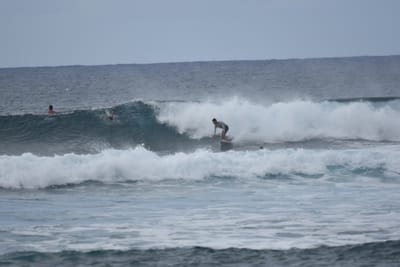 DSC_9534.JPG