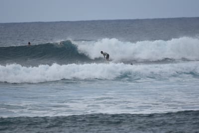DSC_9535.JPG