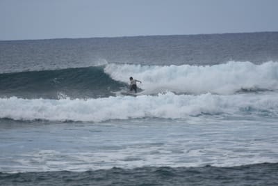 DSC_9536.JPG