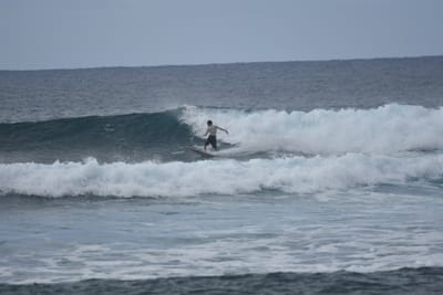 DSC_9537.JPG