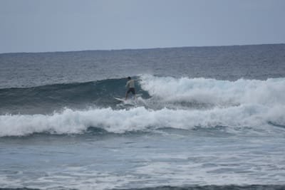DSC_9538.JPG