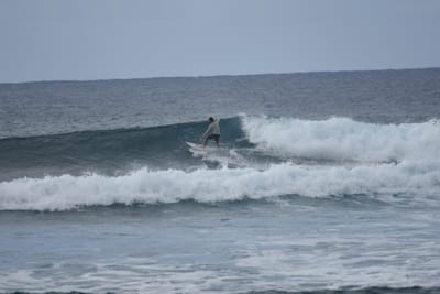 DSC_9539.JPG