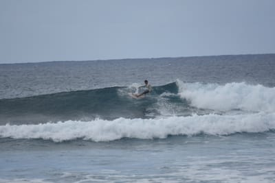 DSC_9540.JPG