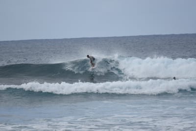 DSC_9545.JPG