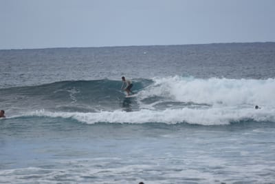 DSC_9546.JPG