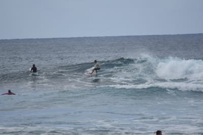 DSC_9549.JPG