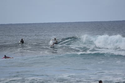 DSC_9550.JPG