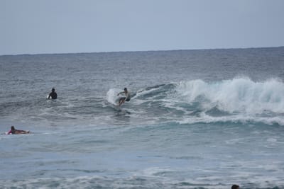 DSC_9551.JPG