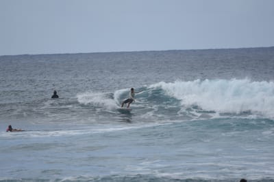 DSC_9553.JPG