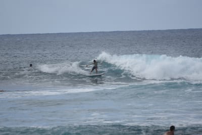 DSC_9554.JPG