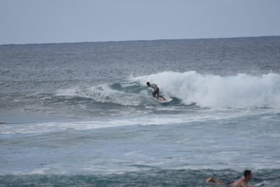 DSC_9555.JPG