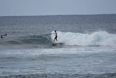 DSC_9556.JPG