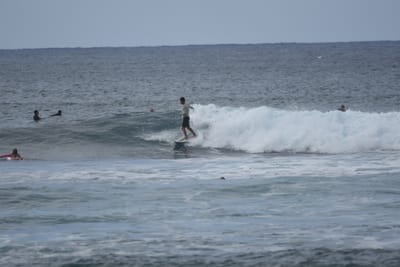 DSC_9557.JPG