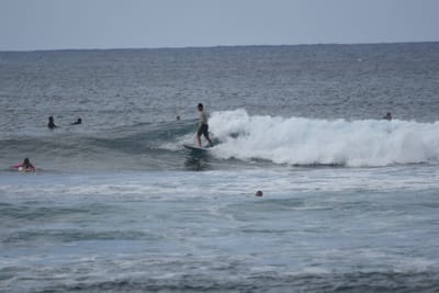 DSC_9558.JPG