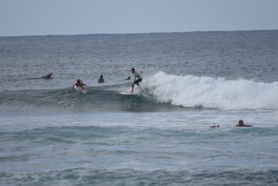 DSC_9559.JPG