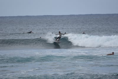 DSC_9560.JPG