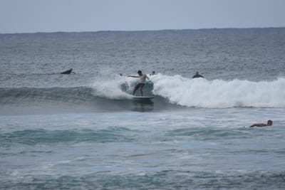 DSC_9561.JPG