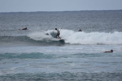 DSC_9562.JPG