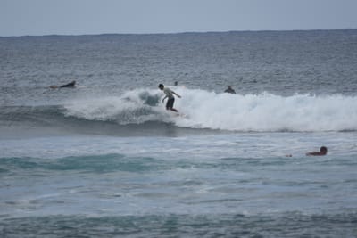 DSC_9563.JPG