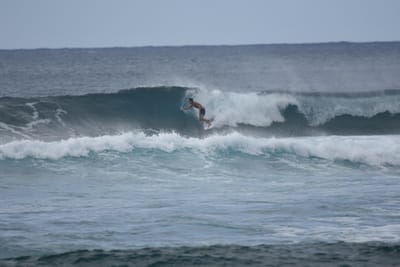 DSC_9565.JPG