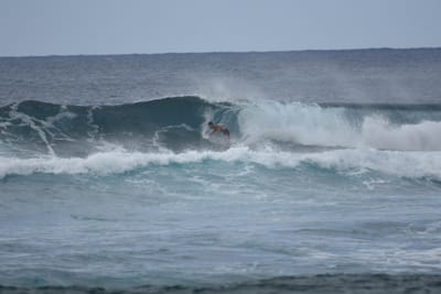 DSC_9566.JPG