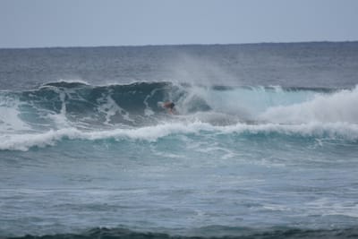DSC_9567.JPG