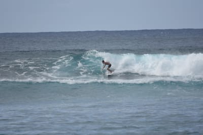 DSC_9568.JPG