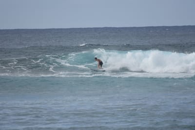 DSC_9571.JPG