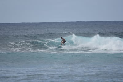 DSC_9572.JPG