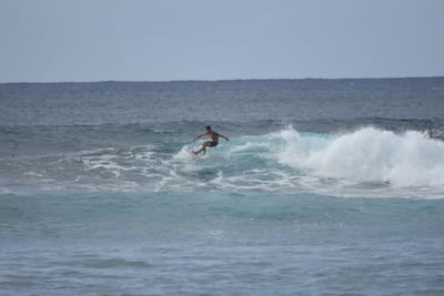 DSC_9576.JPG