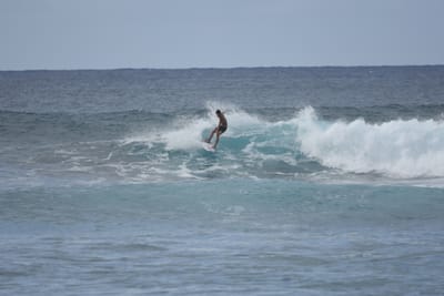 DSC_9579.JPG