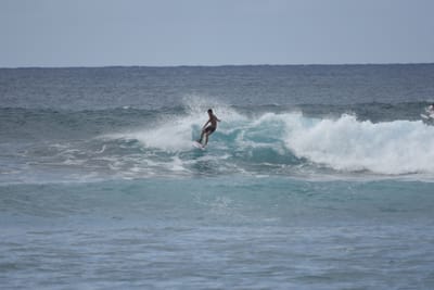 DSC_9580.JPG