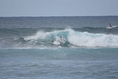 DSC_9583.JPG