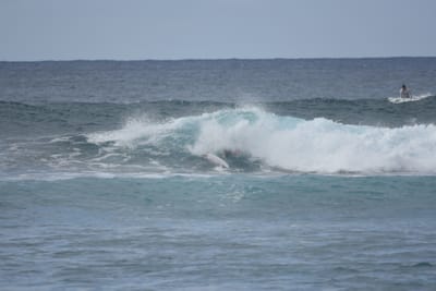 DSC_9584.JPG
