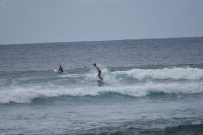 DSC_9587.JPG