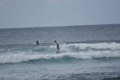 DSC_9588.JPG