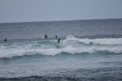 DSC_9589.JPG