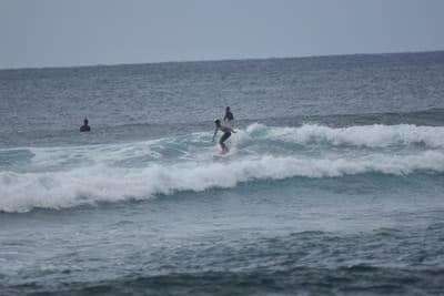 DSC_9590.JPG